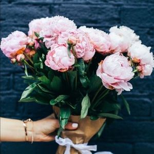 Meet your Posher, Wendy